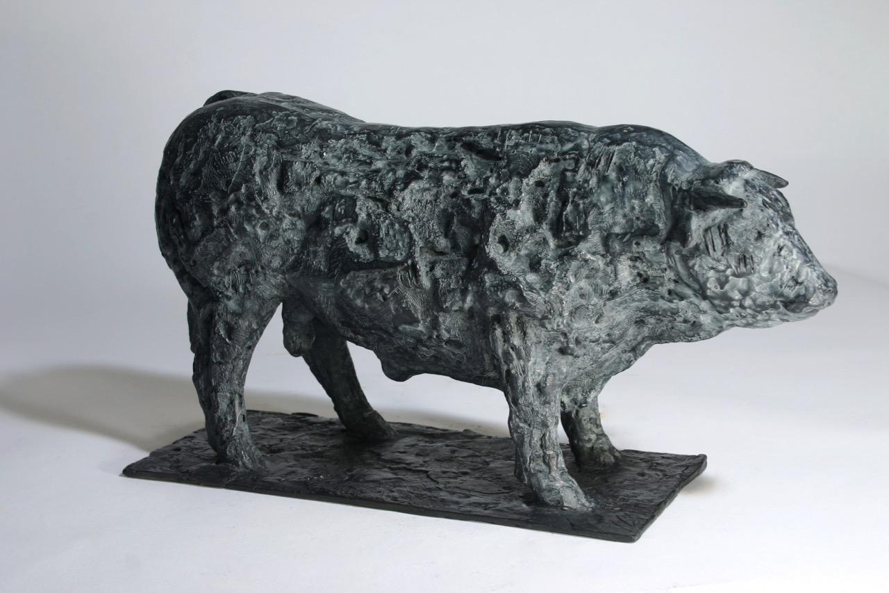 Big Charolais bull  2016 Bronze 8 ex. - Height : 7,48 in
