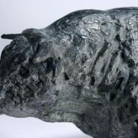 Grand taureau charolais  2016 Détail