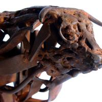 Toro antico 2017 Détail