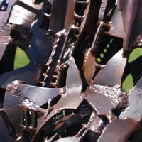 Grande Gaia 2021 - Détail