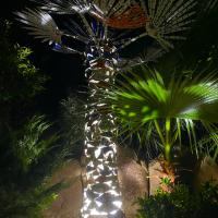 Le Palmier de la Vie et de l'Amour 2019 - By night...