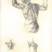 Etude d'après Michelange 1987 Crayon sur papier - 34 x 24 cm