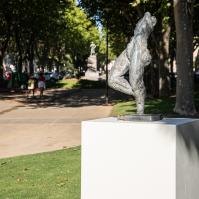 Photo : Ville de Carcassonne